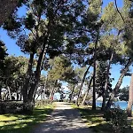 Eleonora Mare * Pula