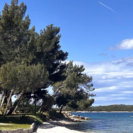 Eleonora Mare
